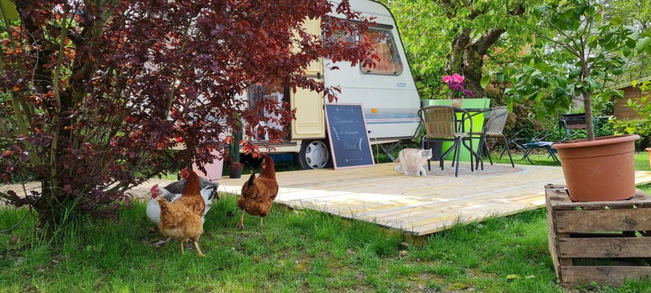 Caravane L'attrape-reve Aux Portes Du Chateau De Chambord Et Cheverny Campsite
